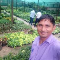 Ajay Yadav