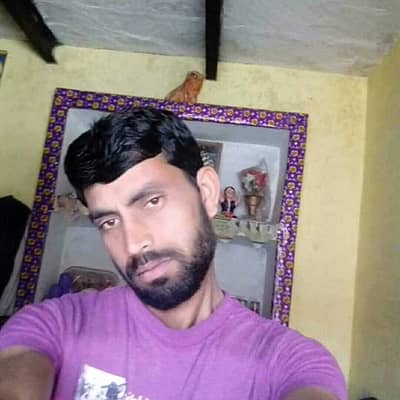 Pintu