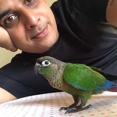Atul