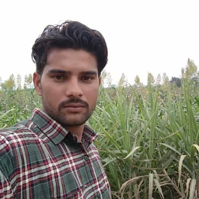 Aman
