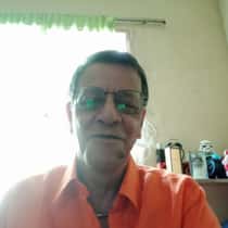 Zol