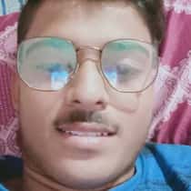 mshival
