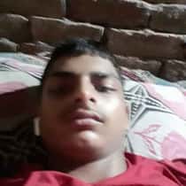 ankit