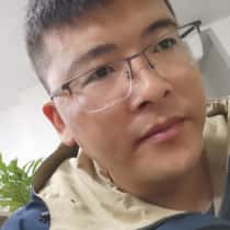 david