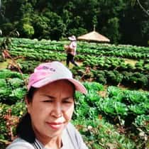 อรนุช