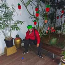 iby